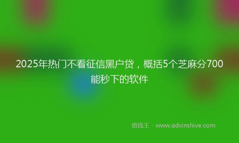 2025年热门不看征信黑户贷，概括5个芝麻分700能秒下的软件