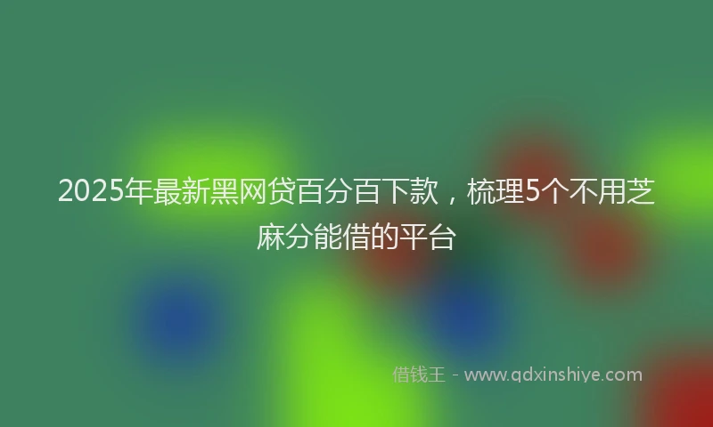 2025年最新黑网贷百分百下款，梳理5个不用芝麻分能借的平台