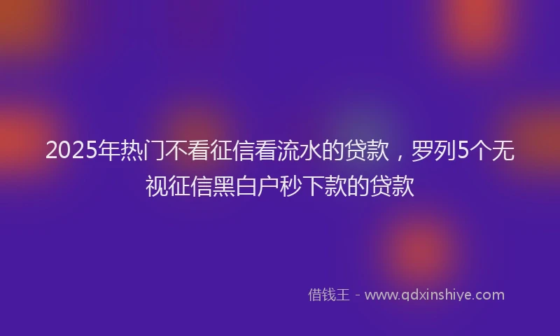 2025年热门不看征信看流水的贷款，罗列5个无视征信黑白户秒下款的贷款