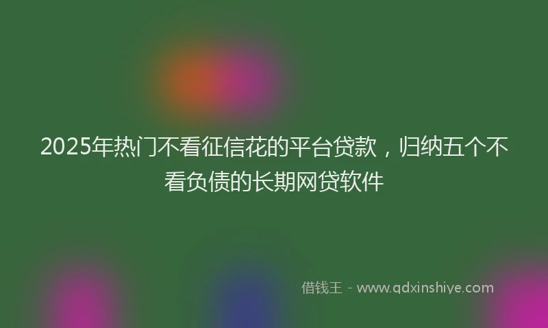 2025年热门不看征信花的平台贷款，归纳五个不看负债的长期网贷软件