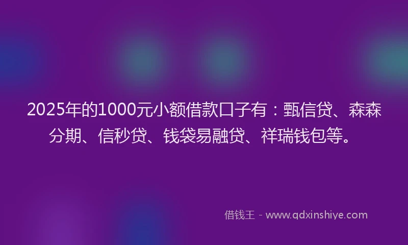 2025年的1000元小额借款口子有：甄信贷、森森分期、信秒贷、钱袋易融贷、祥瑞钱包等。
