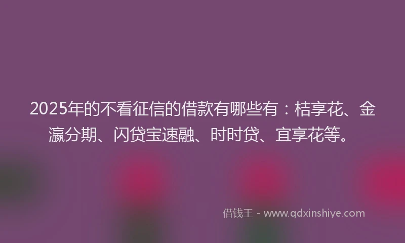 2025年的不看征信的借款有哪些有：桔享花、金瀛分期、闪贷宝速融、时时贷、宜享花等。