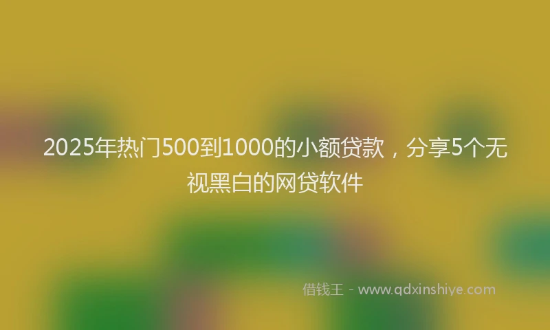 2025年热门500到1000的小额贷款，分享5个无视黑白的网贷软件