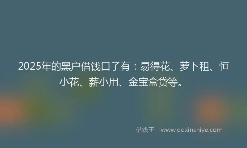 2025年的黑户借钱口子有：易得花、萝卜租、恒小花、薪小用、金宝盒贷等。