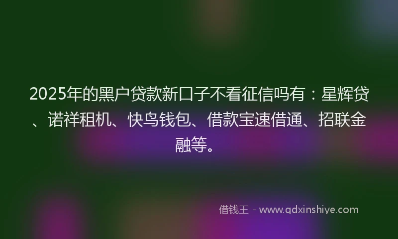2025年的黑户贷款新口子不看征信吗有：星辉贷、诺祥租机、快鸟钱包、借款宝速借通、招联金融等。