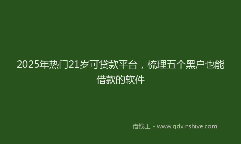 2025年热门21岁可贷款平台，梳理五个黑户也能借款的软件