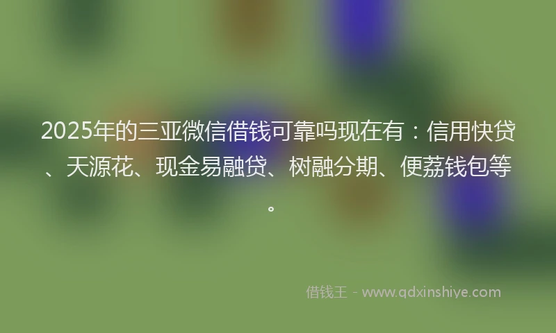 2025年的三亚微信借钱可靠吗现在有：信用快贷、天源花、现金易融贷、树融分期、便荔钱包等。