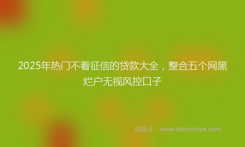 2025年热门不看征信的贷款大全，整合五个网黑烂户无视风控口子