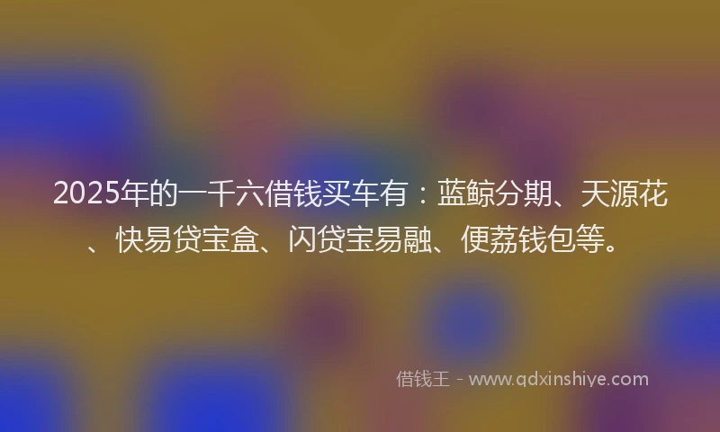 2025年的一千六借钱买车有：蓝鲸分期、天源花、快易贷宝盒、闪贷宝易融、便荔钱包等。