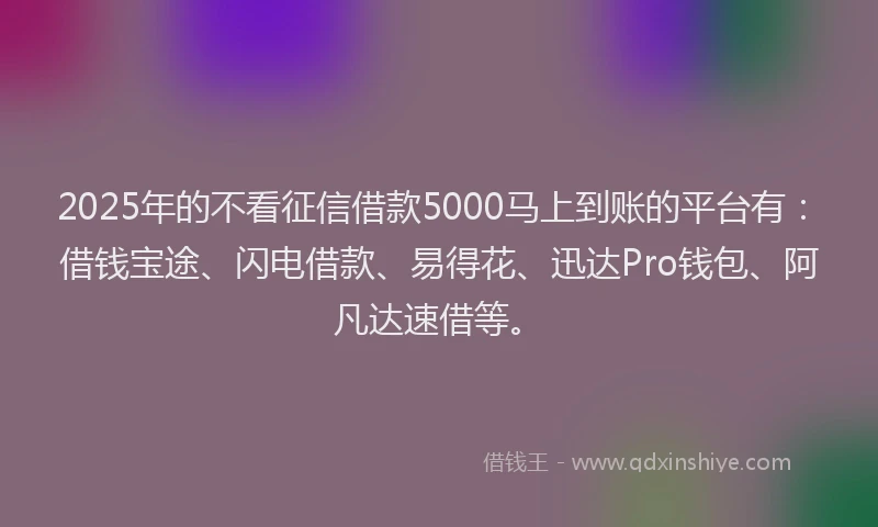 2025年的不看征信借款5000马上到账的平台有：借钱宝途、闪电借款、易得花、迅达Pro钱包、阿凡达速借等。