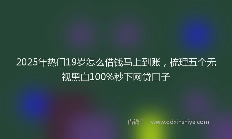 2025年热门19岁怎么借钱马上到账，梳理五个无视黑白100%秒下网贷口子