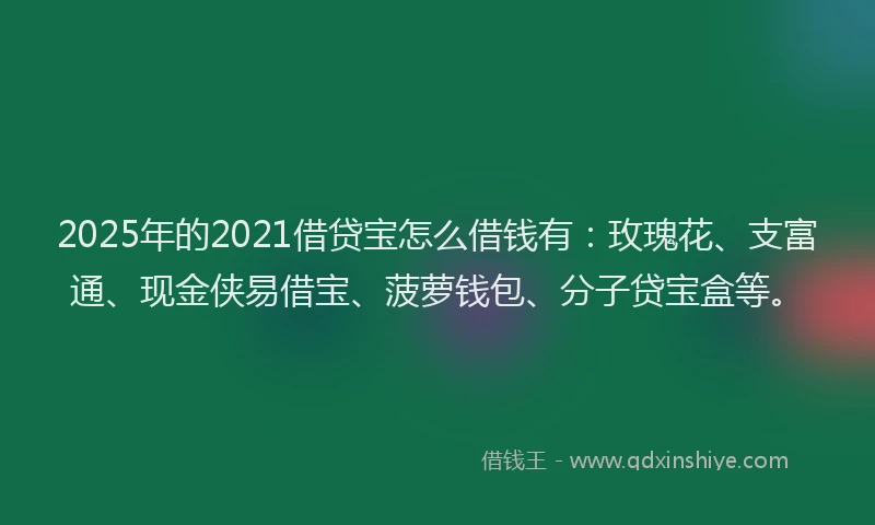 2025年的2021借贷宝怎么借钱有：玫瑰花、支富通、现金侠易借宝、菠萝钱包、分子贷宝盒等。