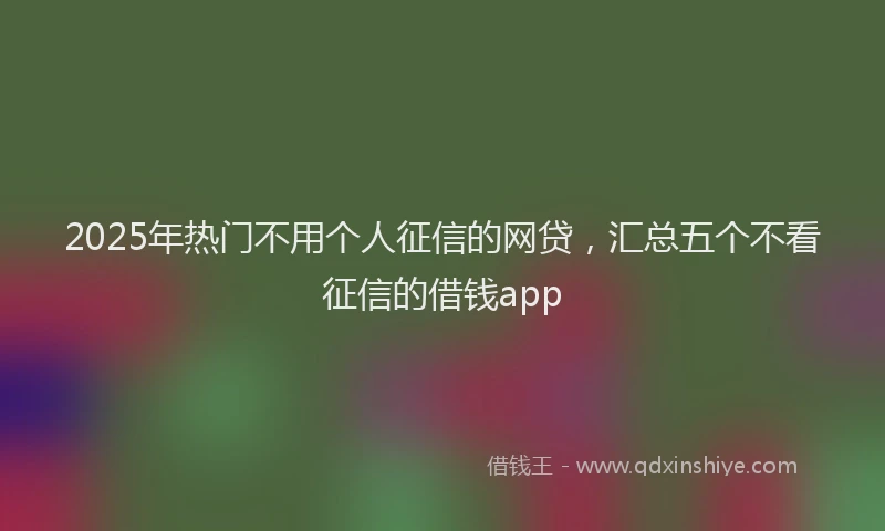 2025年热门不用个人征信的网贷，汇总五个不看征信的借钱app