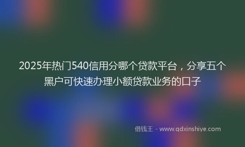 2025年热门540信用分哪个贷款平台，分享五个黑户可快速办理小额贷款业务的口子
