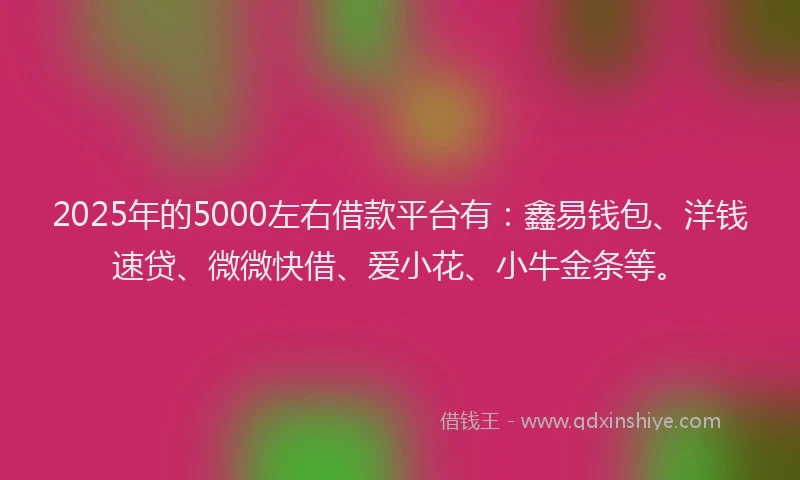 2025年的5000左右借款平台有：鑫易钱包、洋钱速贷、微微快借、爱小花、小牛金条等。