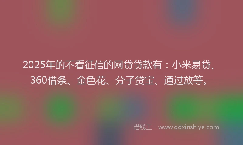 2025年的不看征信的网贷贷款有：小米易贷、360借条、金色花、分子贷宝、通过放等。