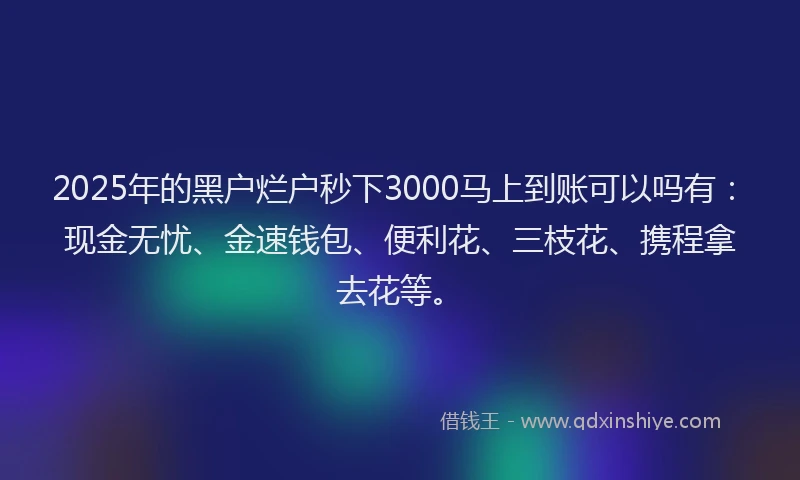 2025年的黑户烂户秒下3000马上到账可以吗有：现金无忧、金速钱包、便利花、三枝花、携程拿去花等。