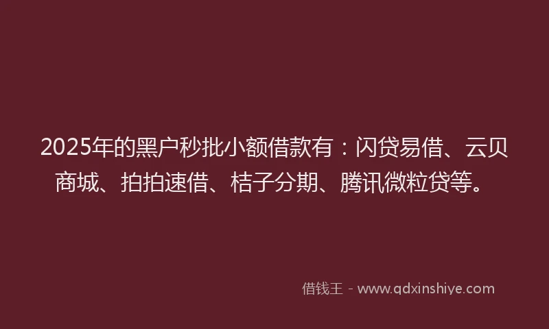 2025年的黑户秒批小额借款有：闪贷易借、云贝商城、拍拍速借、桔子分期、腾讯微粒贷等。