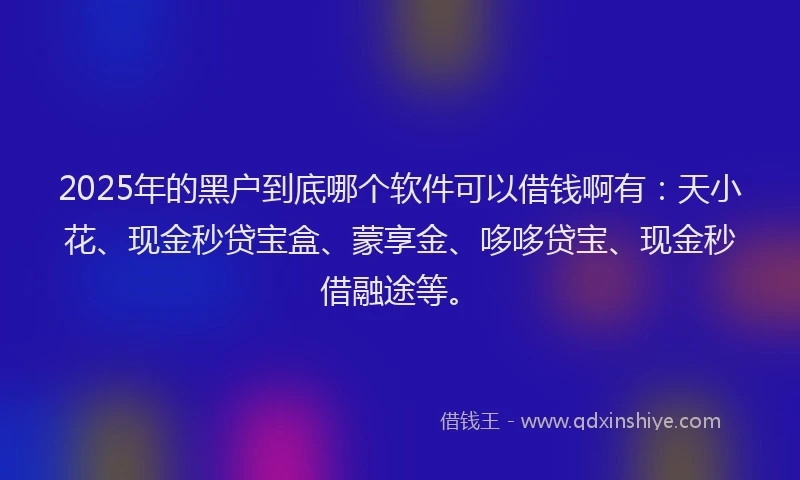 2025年的黑户到底哪个软件可以借钱啊有：天小花、现金秒贷宝盒、蒙享金、哆哆贷宝、现金秒借融途等。