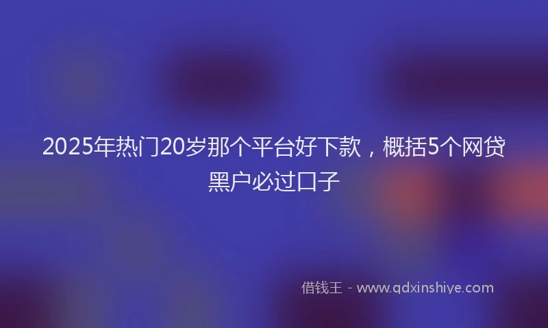 2025年热门20岁那个平台好下款，概括5个网贷黑户必过口子