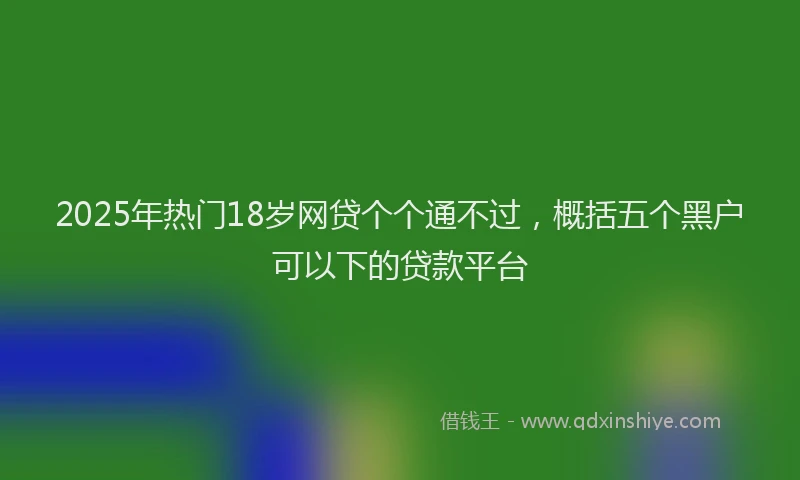 2025年热门18岁网贷个个通不过，概括五个黑户可以下的贷款平台