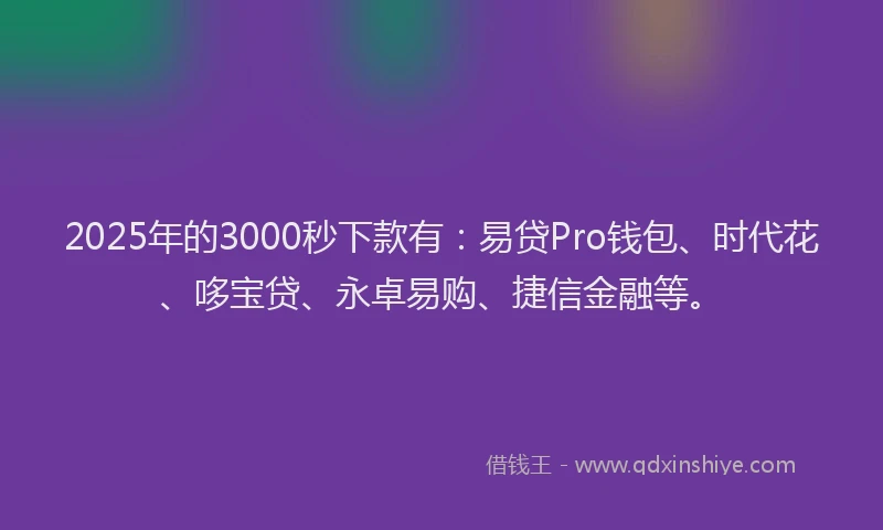 2025年的3000秒下款有：易贷Pro钱包、时代花、哆宝贷、永卓易购、捷信金融等。