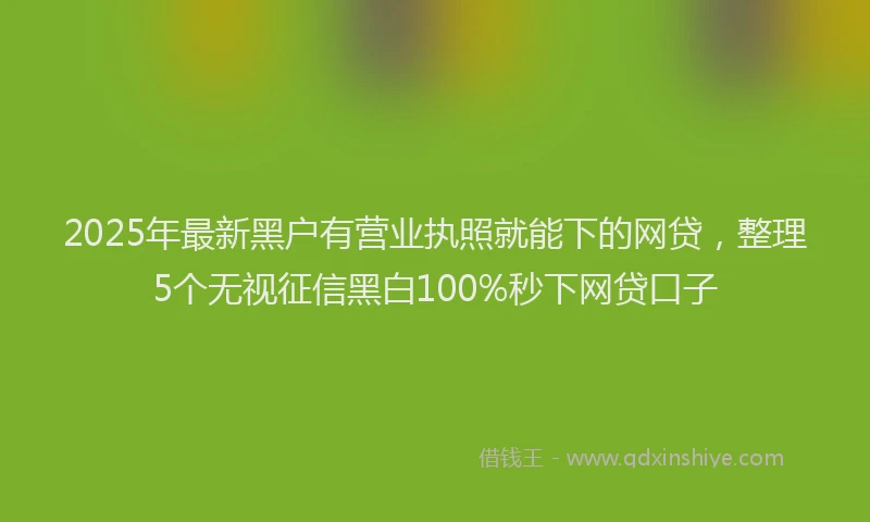2025年最新黑户有营业执照就能下的网贷，整理5个无视征信黑白100%秒下网贷口子