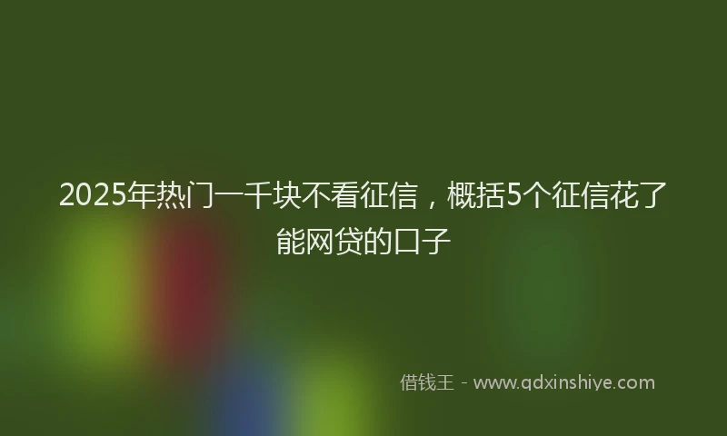 2025年热门一千块不看征信，概括5个征信花了能网贷的口子