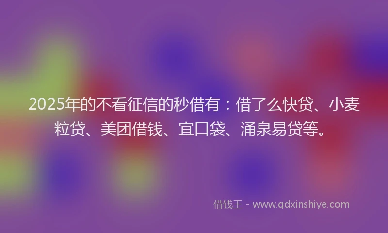 2025年的不看征信的秒借有：借了么快贷、小麦粒贷、美团借钱、宜口袋、涌泉易贷等。