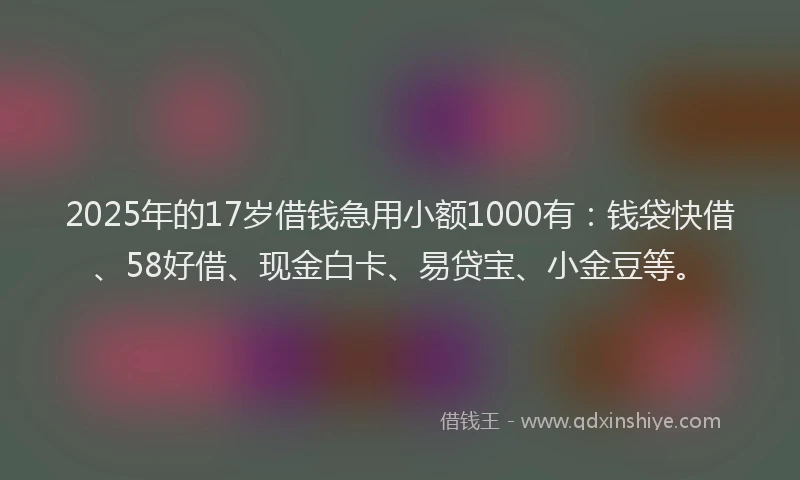 2025年的17岁借钱急用小额1000有：钱袋快借、58好借、现金白卡、易贷宝、小金豆等。