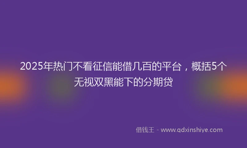 2025年热门不看征信能借几百的平台，概括5个无视双黑能下的分期贷