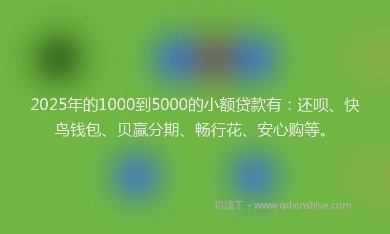 2025年的1000到5000的小额贷款有：还呗、快鸟钱包、贝赢分期、畅行花、安心购等。