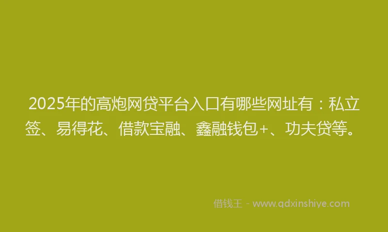 2025年的高炮网贷平台入口有哪些网址有：私立签、易得花、借款宝融、鑫融钱包+、功夫贷等。