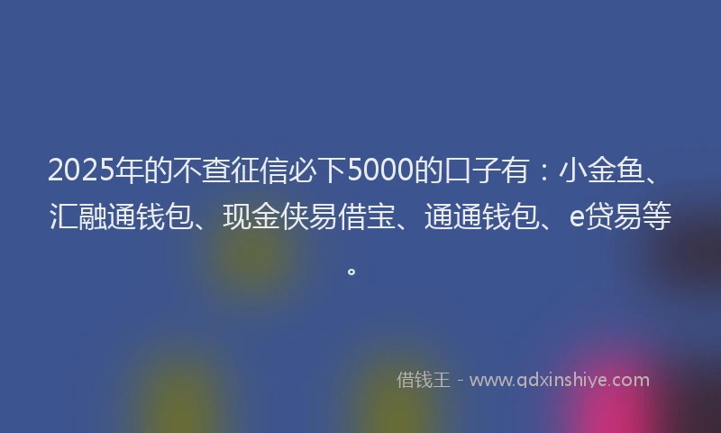 2025年的不查征信必下5000的口子有：小金鱼、汇融通钱包、现金侠易借宝、通通钱包、e贷易等。