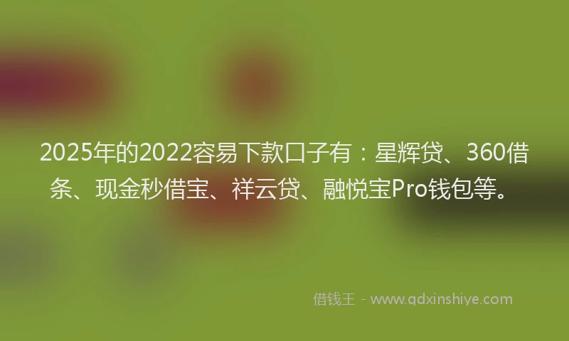 2025年的2022容易下款口子有：星辉贷、360借条、现金秒借宝、祥云贷、融悦宝Pro钱包等。