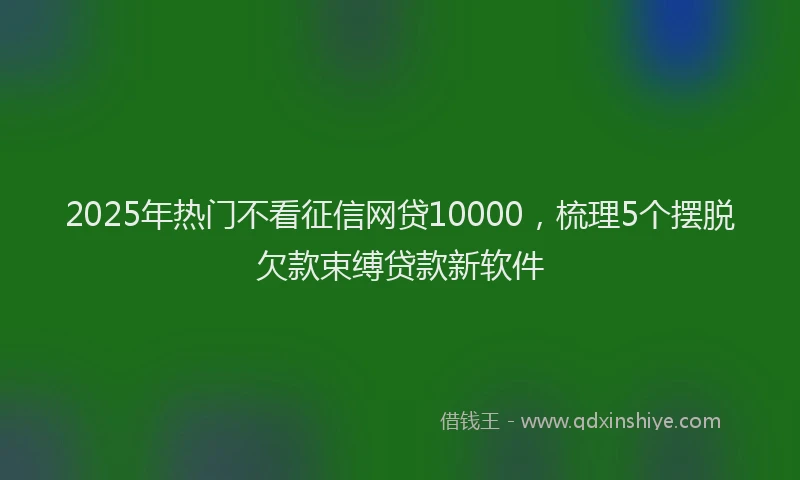 2025年热门不看征信网贷10000，梳理5个摆脱欠款束缚贷款新软件