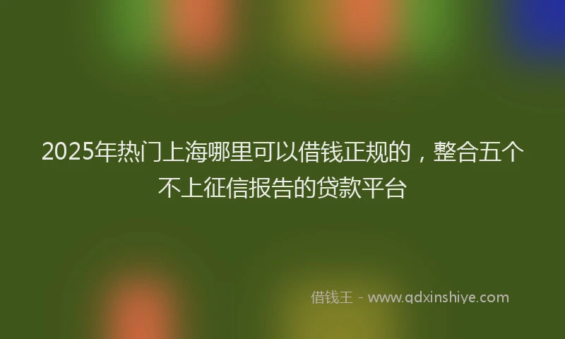 2025年热门上海哪里可以借钱正规的，整合五个不上征信报告的贷款平台