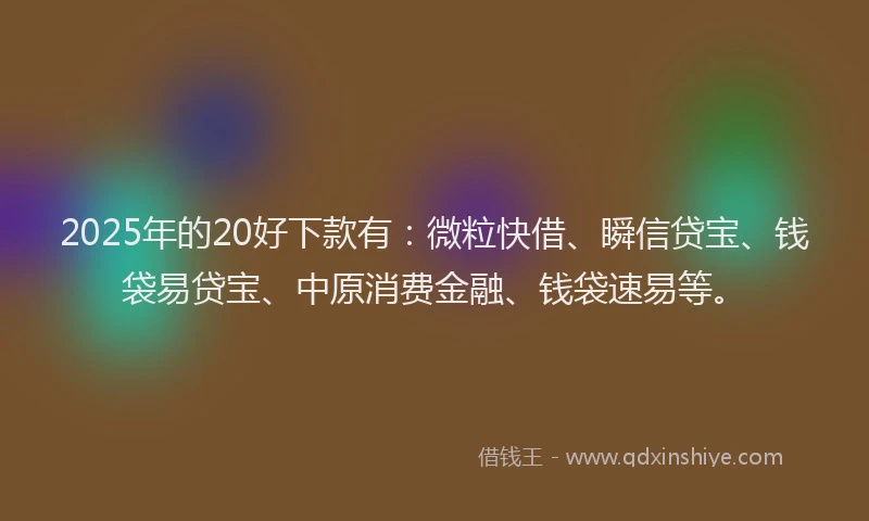 2025年的20好下款有：微粒快借、瞬信贷宝、钱袋易贷宝、中原消费金融、钱袋速易等。