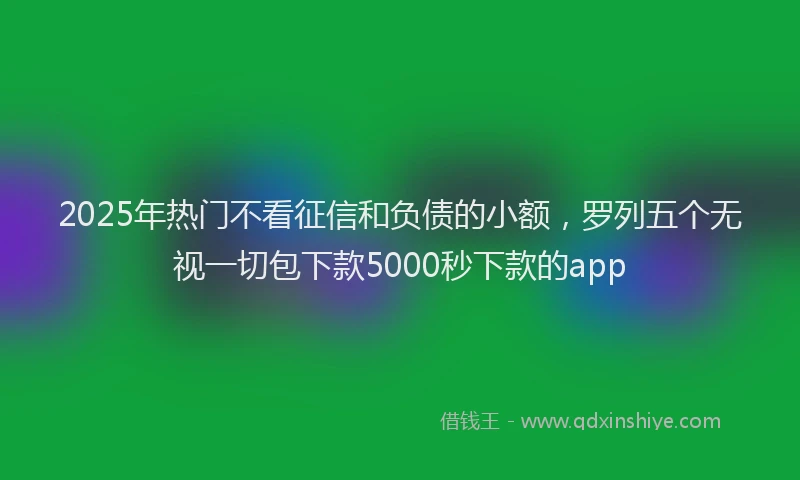 2025年热门不看征信和负债的小额，罗列五个无视一切包下款5000秒下款的app