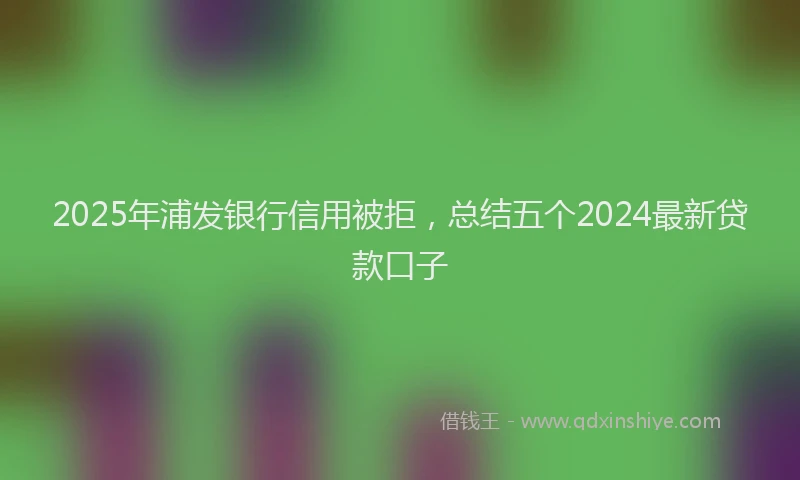 2025年浦发银行信用被拒，总结五个2024最新贷款口子