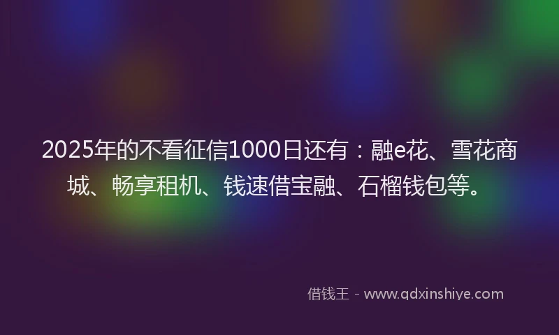 2025年的不看征信1000日还有：融e花、雪花商城、畅享租机、钱速借宝融、石榴钱包等。