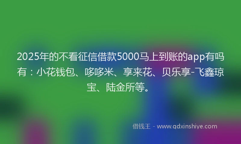 2025年的不看征信借款5000马上到账的app有吗有：小花钱包、哆哆米、享来花、贝乐享-飞鑫琼宝、陆金所等。