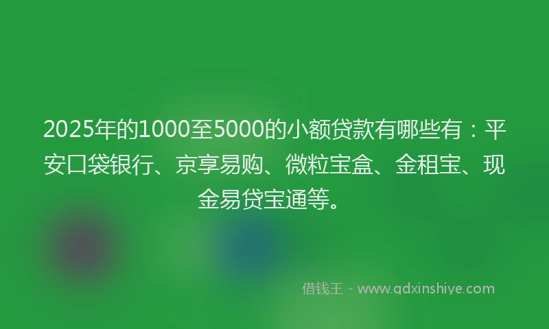 2025年的1000至5000的小额贷款有哪些有：平安口袋银行、京享易购、微粒宝盒、金租宝、现金易贷宝通等。