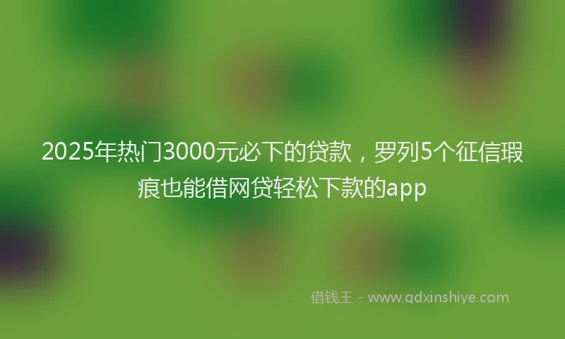 2025年热门3000元必下的贷款，罗列5个征信瑕疵也能借网贷轻松下款的app