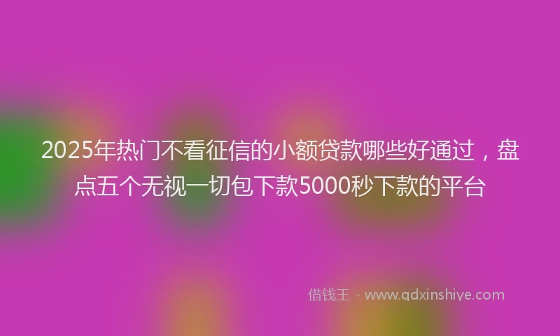 2025年热门不看征信的小额贷款哪些好通过，盘点五个无视一切包下款5000秒下款的平台