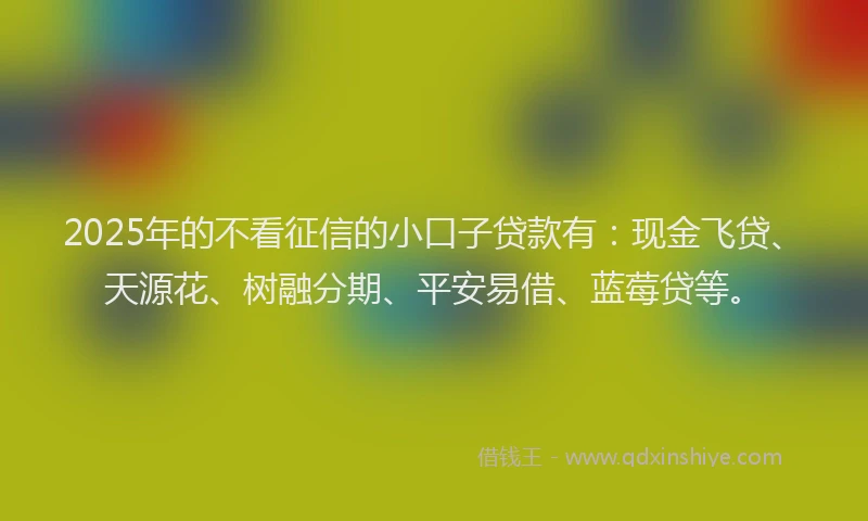 2025年的不看征信的小口子贷款有：现金飞贷、天源花、树融分期、平安易借、蓝莓贷等。