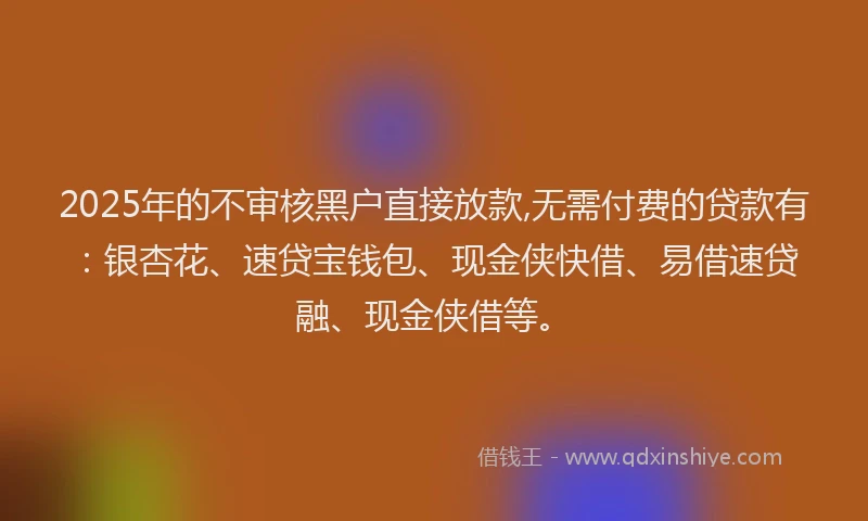 2025年的不审核黑户直接放款,无需付费的贷款有：银杏花、速贷宝钱包、现金侠快借、易借速贷融、现金侠借等。