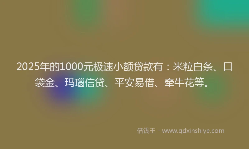 2025年的1000元极速小额贷款有：米粒白条、口袋金、玛瑙信贷、平安易借、牵牛花等。