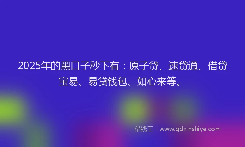 2025年的黑口子秒下有：原子贷、速贷通、借贷宝易、易贷钱包、如心来等。