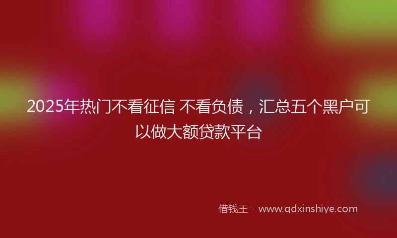 2025年热门不看征信 不看负债，汇总五个黑户可以做大额贷款平台